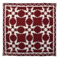 Red Feathered Star  